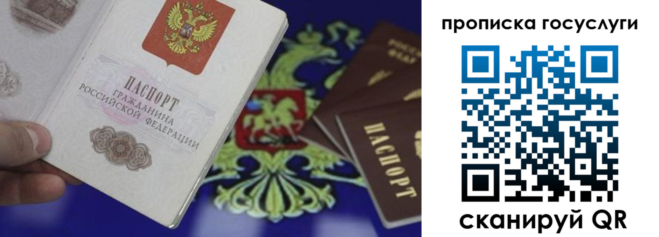 прописка для школы в Пласте